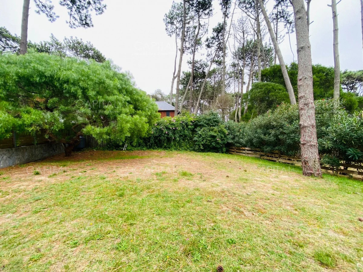 Casa en Montoya, propiedad 281628 -Imagen 19
