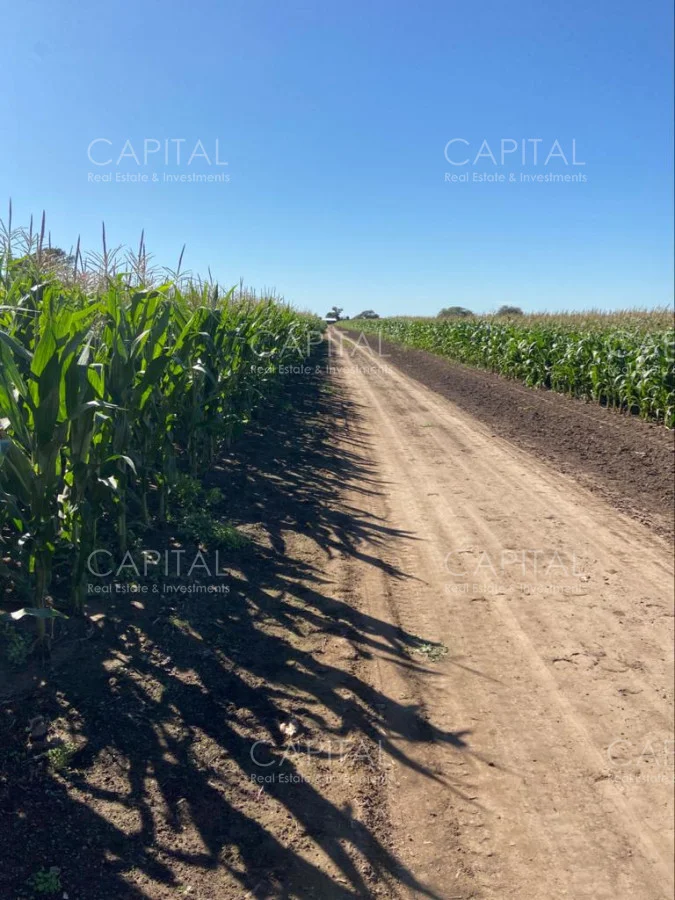 Campo en Maldonado, propiedad 281663 -Imagen 2