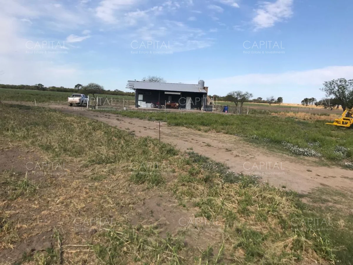 Campo en Maldonado, propiedad 281663 -Imagen 11