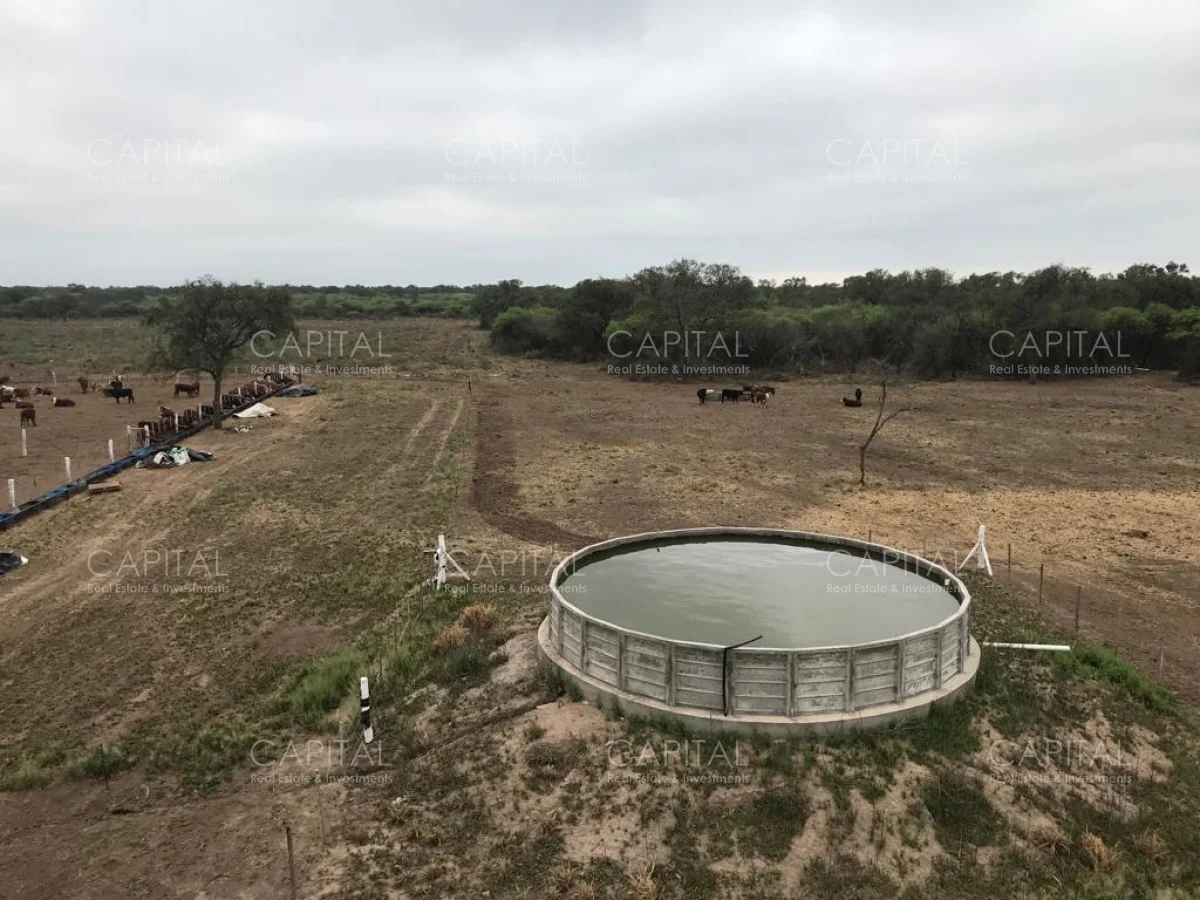 Campo en Maldonado, propiedad 281663 -Imagen 13