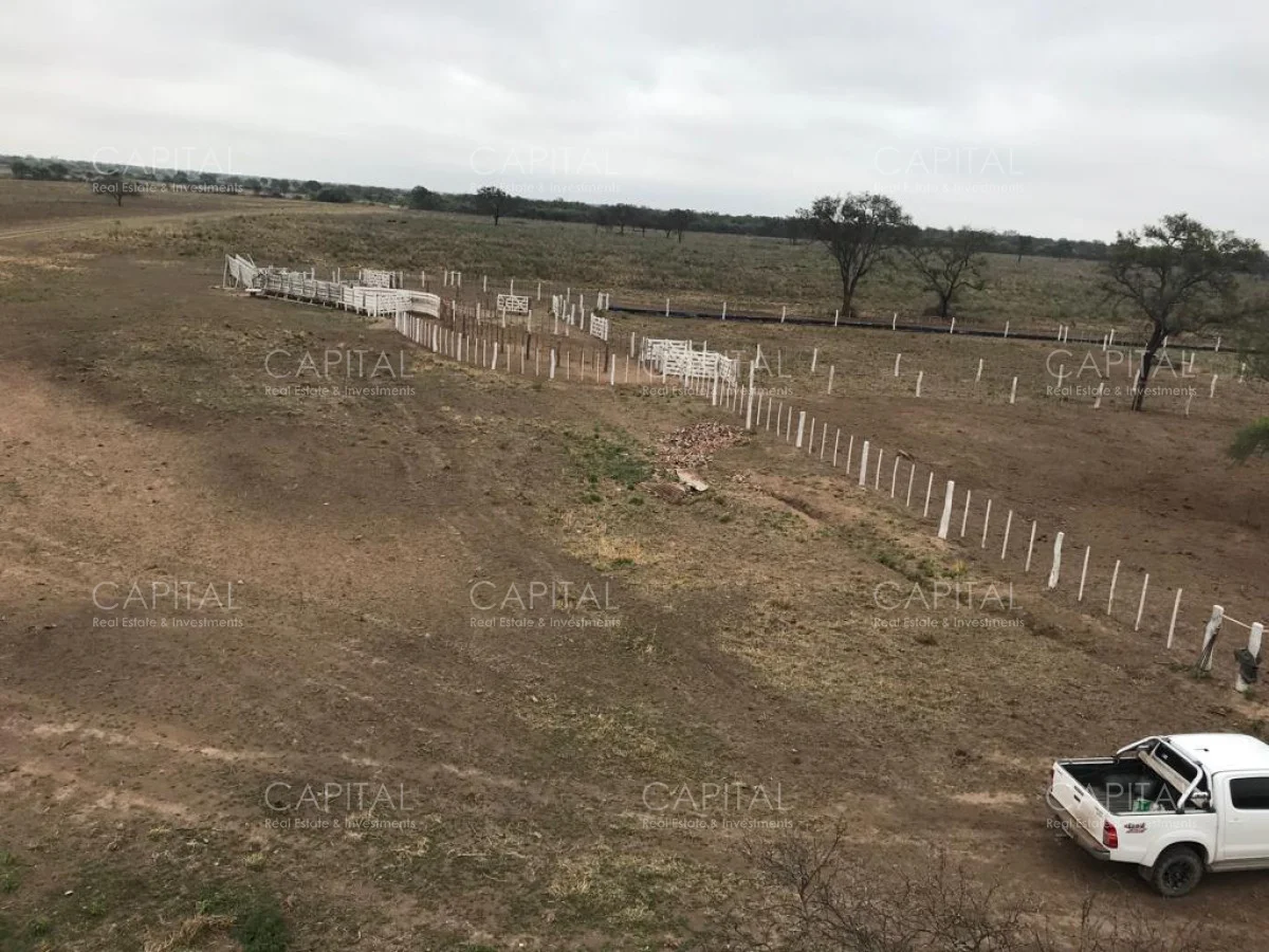 Campo en Maldonado, propiedad 281663 -Imagen 14