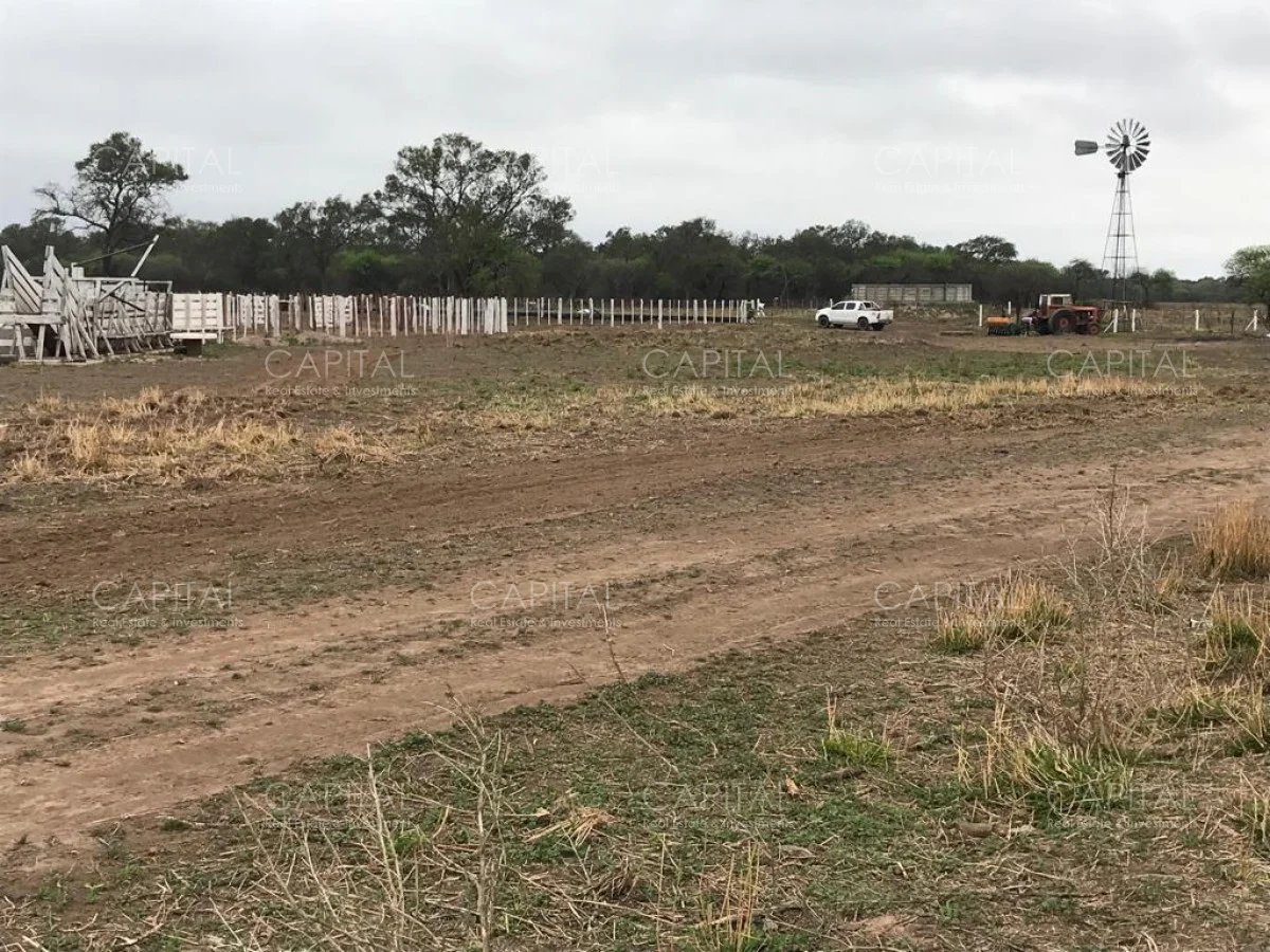Campo en Maldonado, propiedad 281663 -Imagen 15