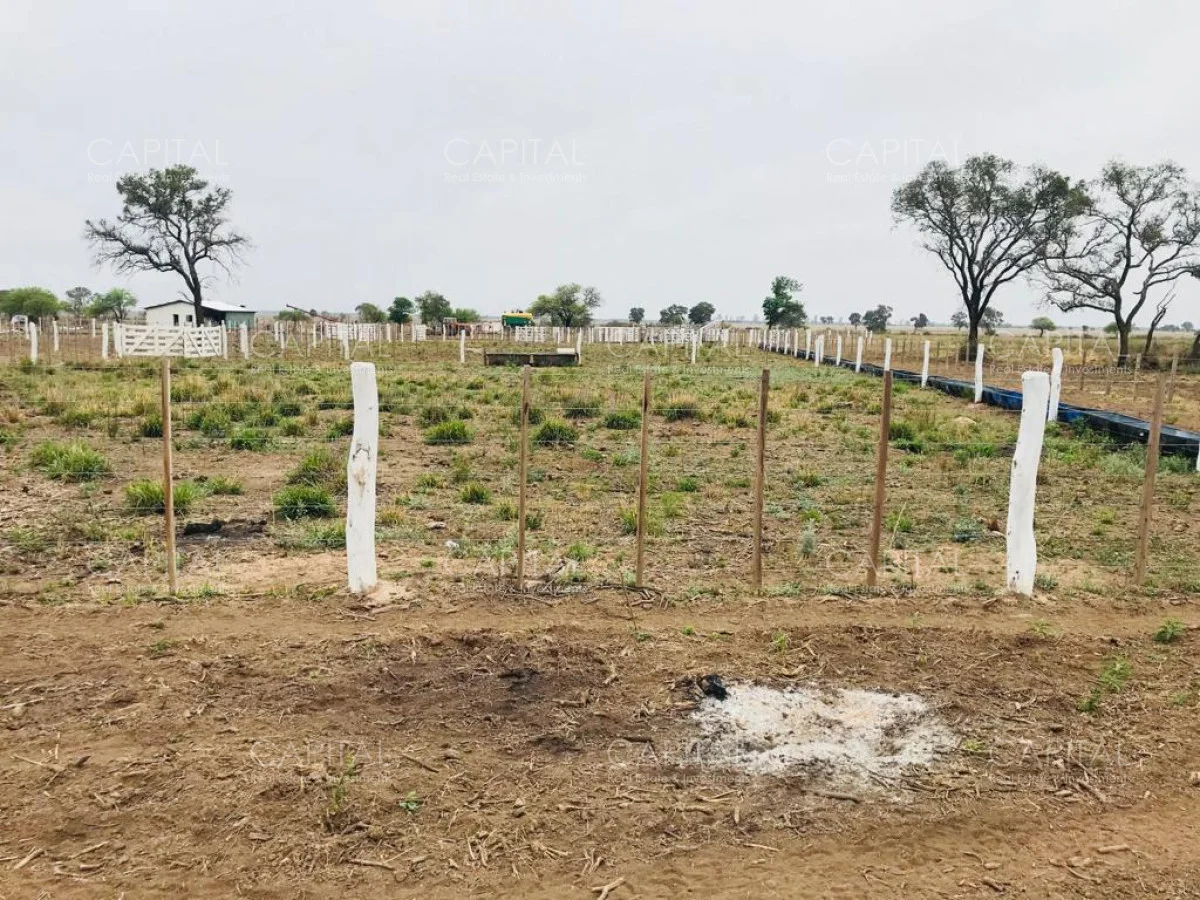 Campo en Maldonado, propiedad 281663 -Imagen 16