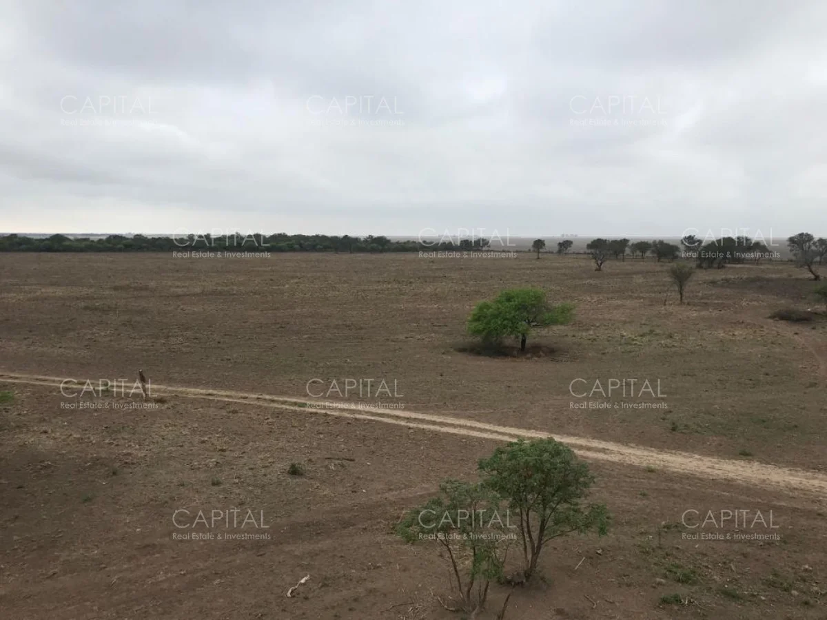 Campo en Maldonado, propiedad 281663 -Imagen 17