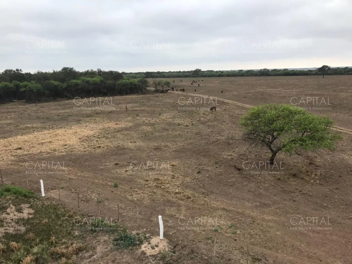 Campo en Maldonado, propiedad 281663 -Imagen 18