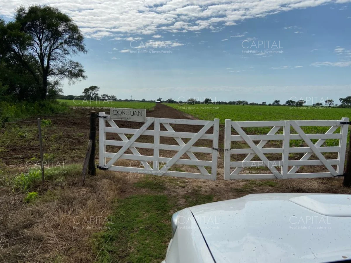 Campo en Maldonado, propiedad 281663 -Imagen 4