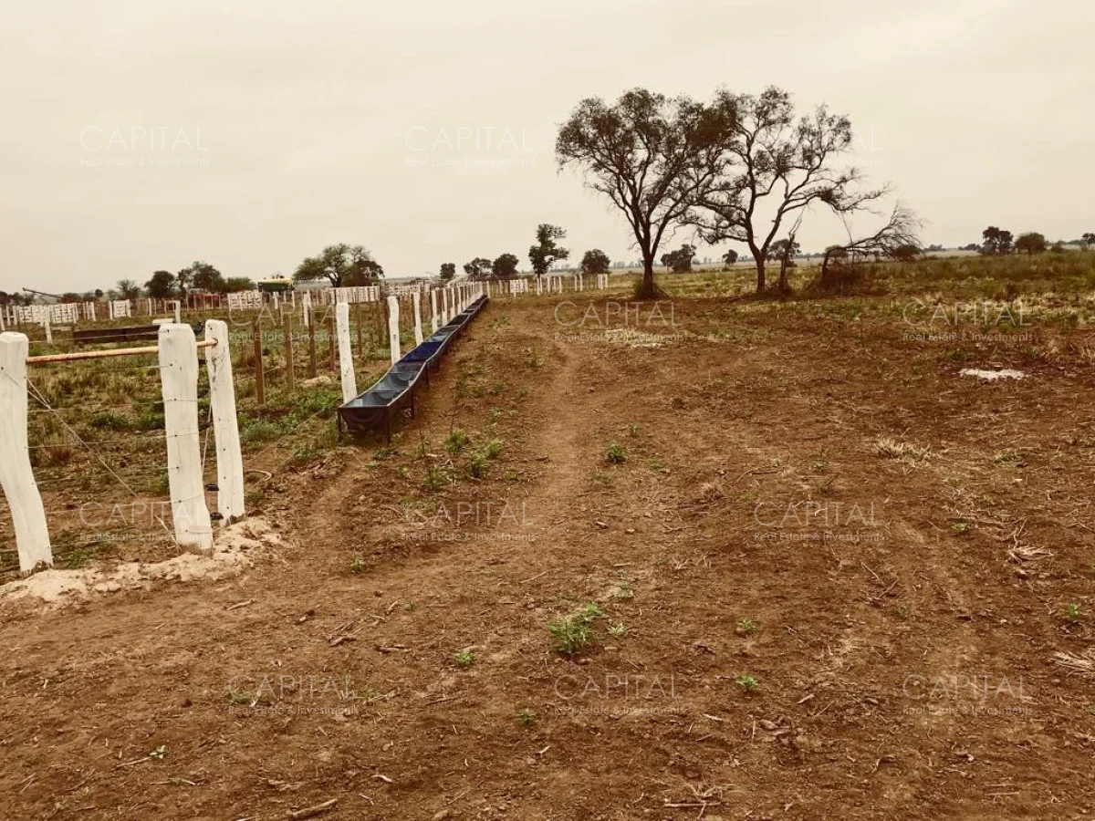 Campo en Maldonado, propiedad 281663 -Imagen 7
