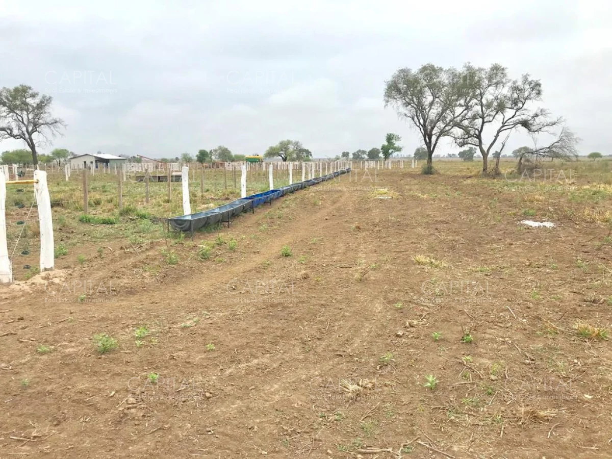 Campo en Maldonado, propiedad 281663 -Imagen 8