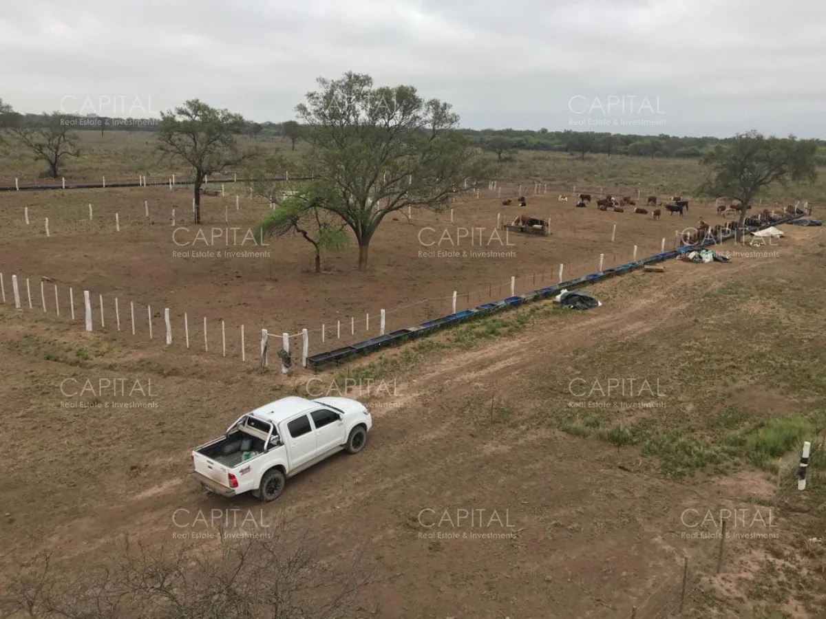 Campo en Maldonado, propiedad 281663 -Imagen 9