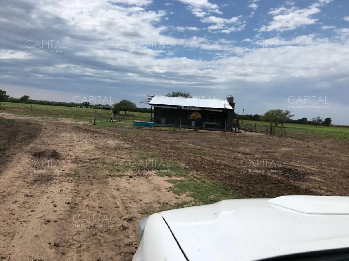 Campo en Maldonado, propiedad 281663 -Imagen 10