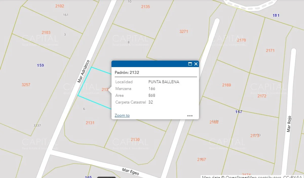 Terreno en Punta Ballena, propiedad 281669 -Imagen 1