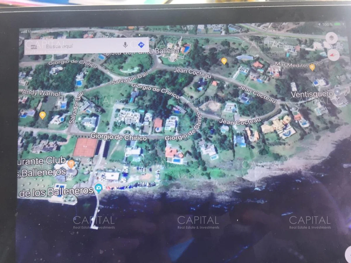 Terreno en Punta Ballena, propiedad 281669 -Imagen 3