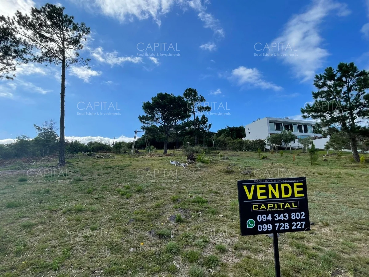 Terreno en Punta Ballena, propiedad 281670 -Imagen 2