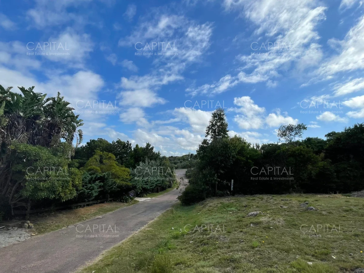 Terreno en Punta Ballena, propiedad 281670 -Imagen 3