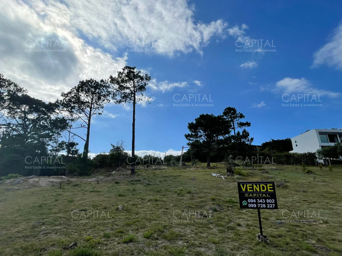 Terreno en Punta Ballena, propiedad 281670 -Imagen 4