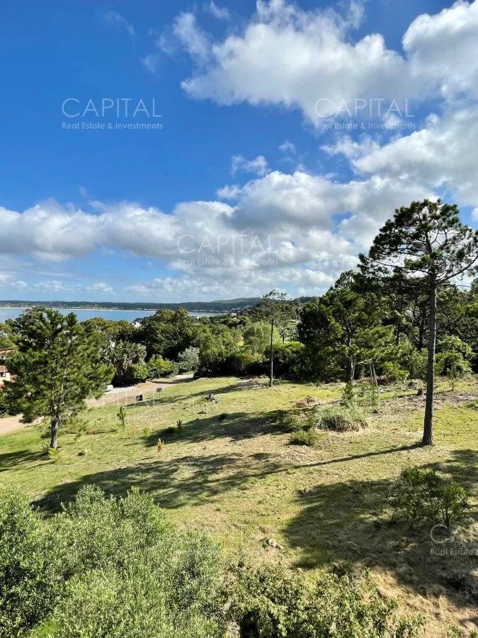 Terreno en Punta Ballena, propiedad 281670 -Imagen 5