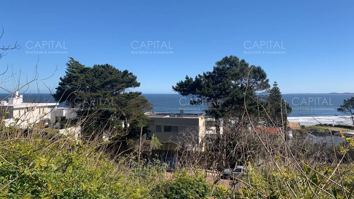 Terreno en Punta Ballena, propiedad 281774 -Imagen 2