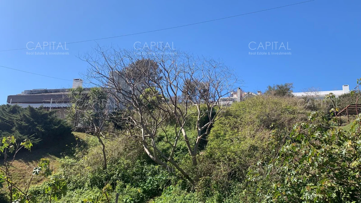 Terreno en Punta Ballena, propiedad 281774 -Imagen 4