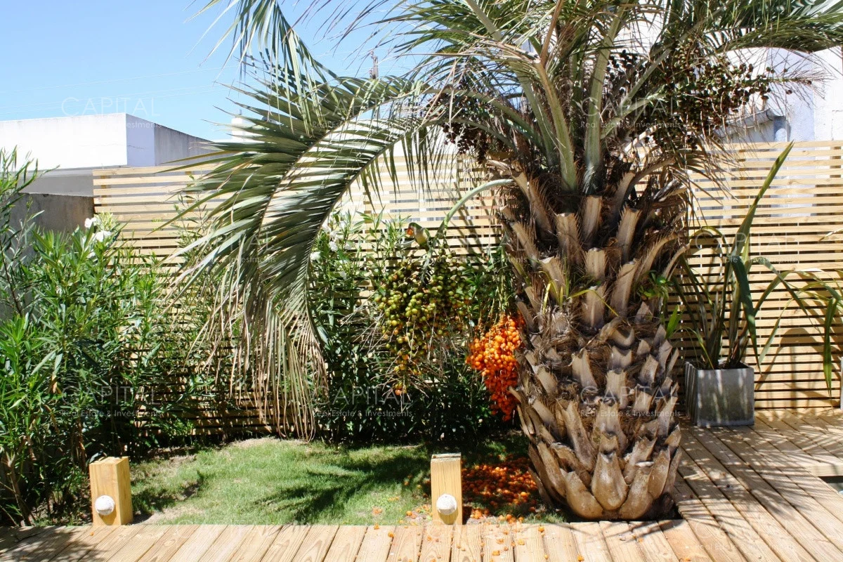 Casa en José Ignacio, propiedad 281780 -Imagen 8