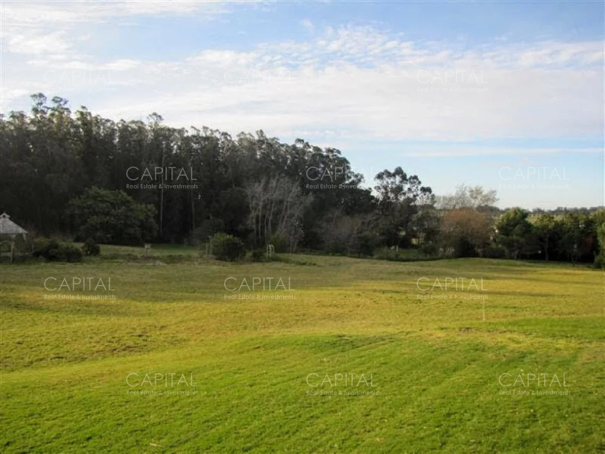 Casa en Punta Piedras, propiedad 281814 -Imagen 17
