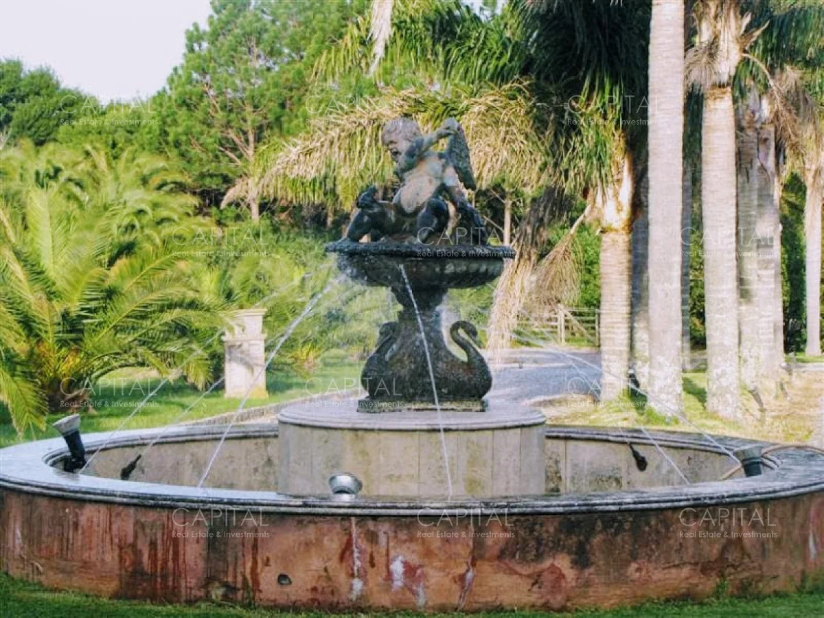 Casa en Punta Piedras, propiedad 281814 -Imagen 5