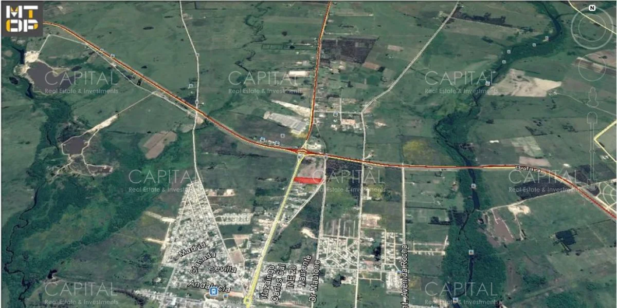 Terreno en San Carlos, propiedad 281823 -Imagen 4