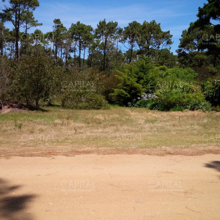 Terreno en Laguna Garzon, propiedad 281824 -Imagen 3