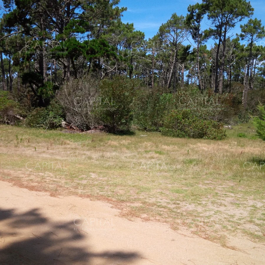 Terreno en Laguna Garzon, propiedad 281824 -Imagen 4