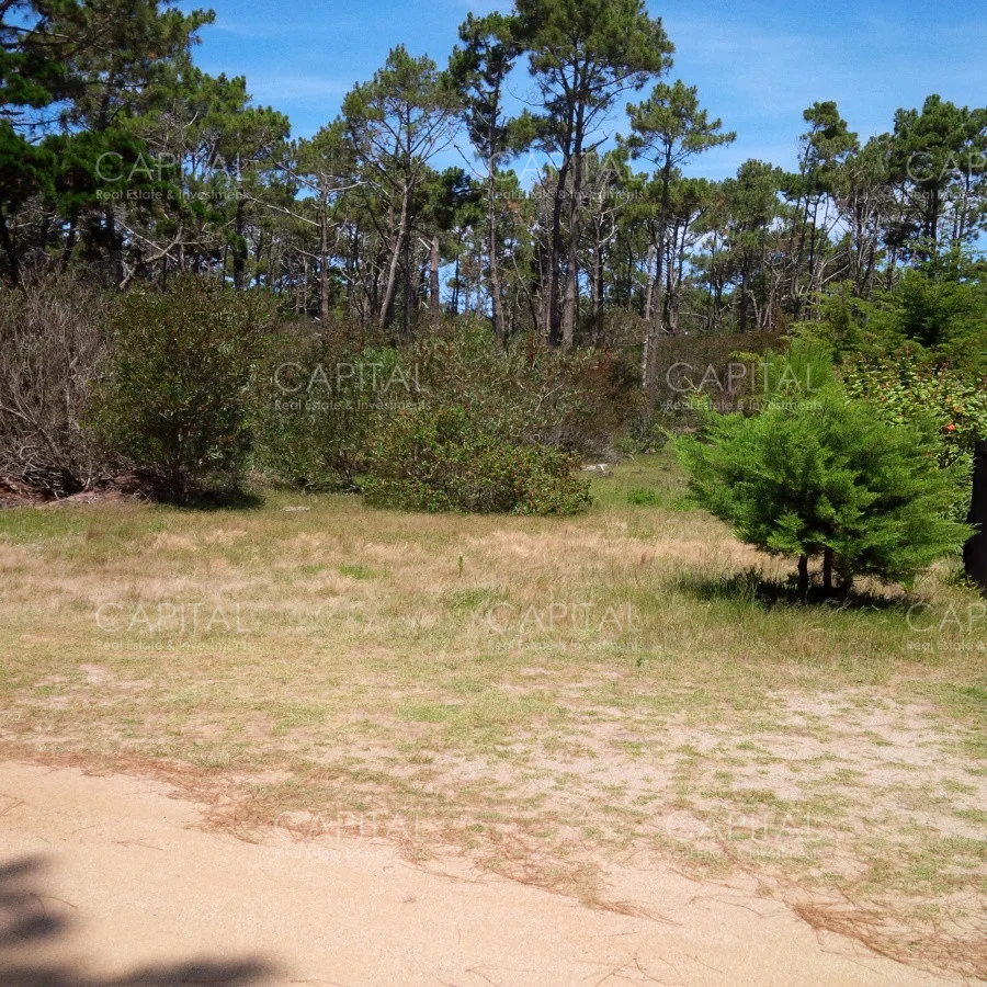 Terreno en Laguna Garzon, propiedad 281824 -Imagen 5