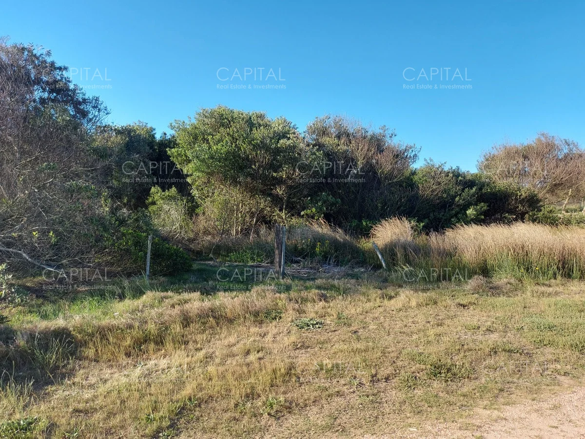 Terreno en La Juanita, propiedad 281826 -Imagen 3