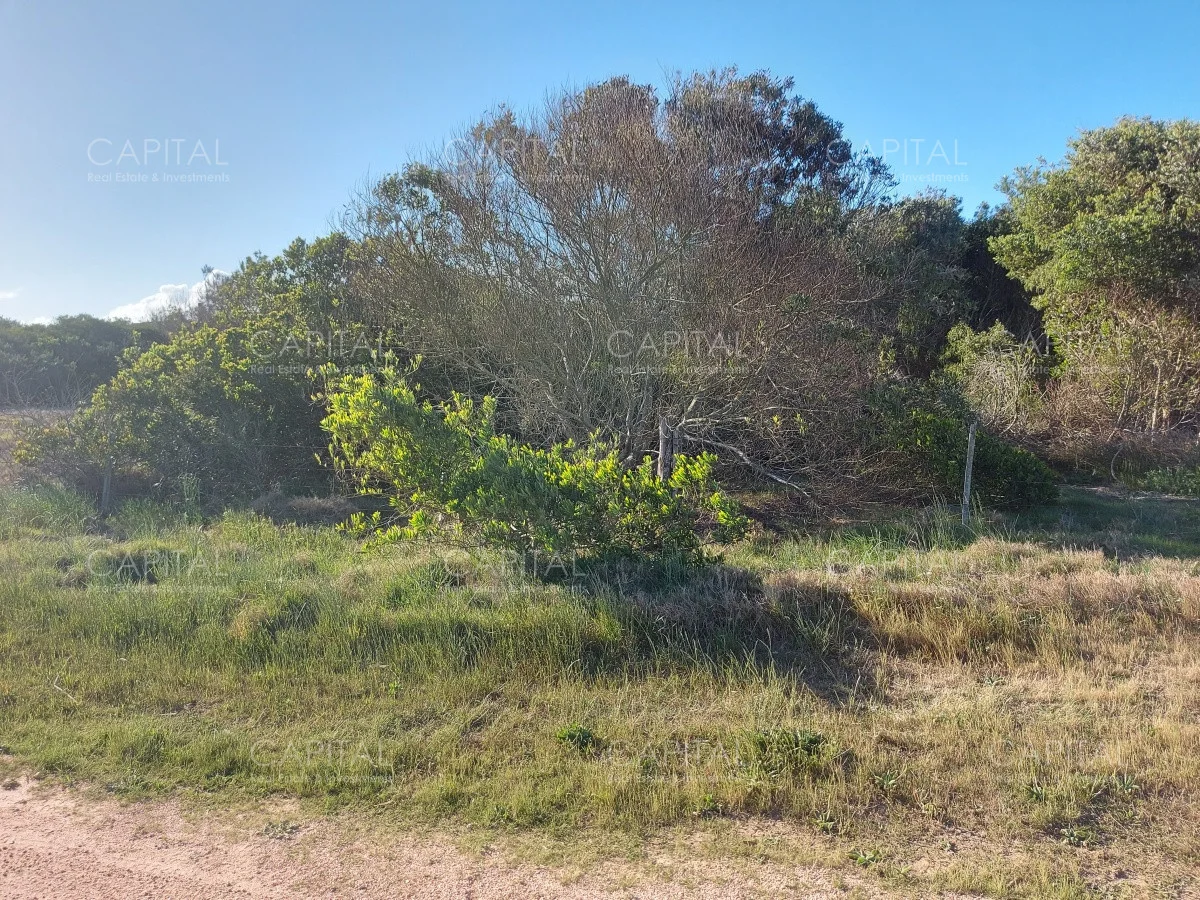 Terreno en La Juanita, propiedad 281826 -Imagen 4
