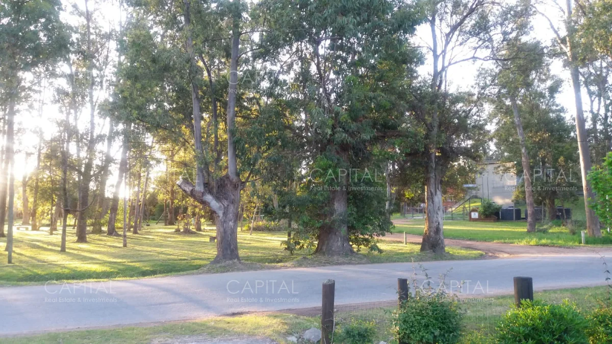 Casa en La Barra, propiedad 281943 -Imagen 22