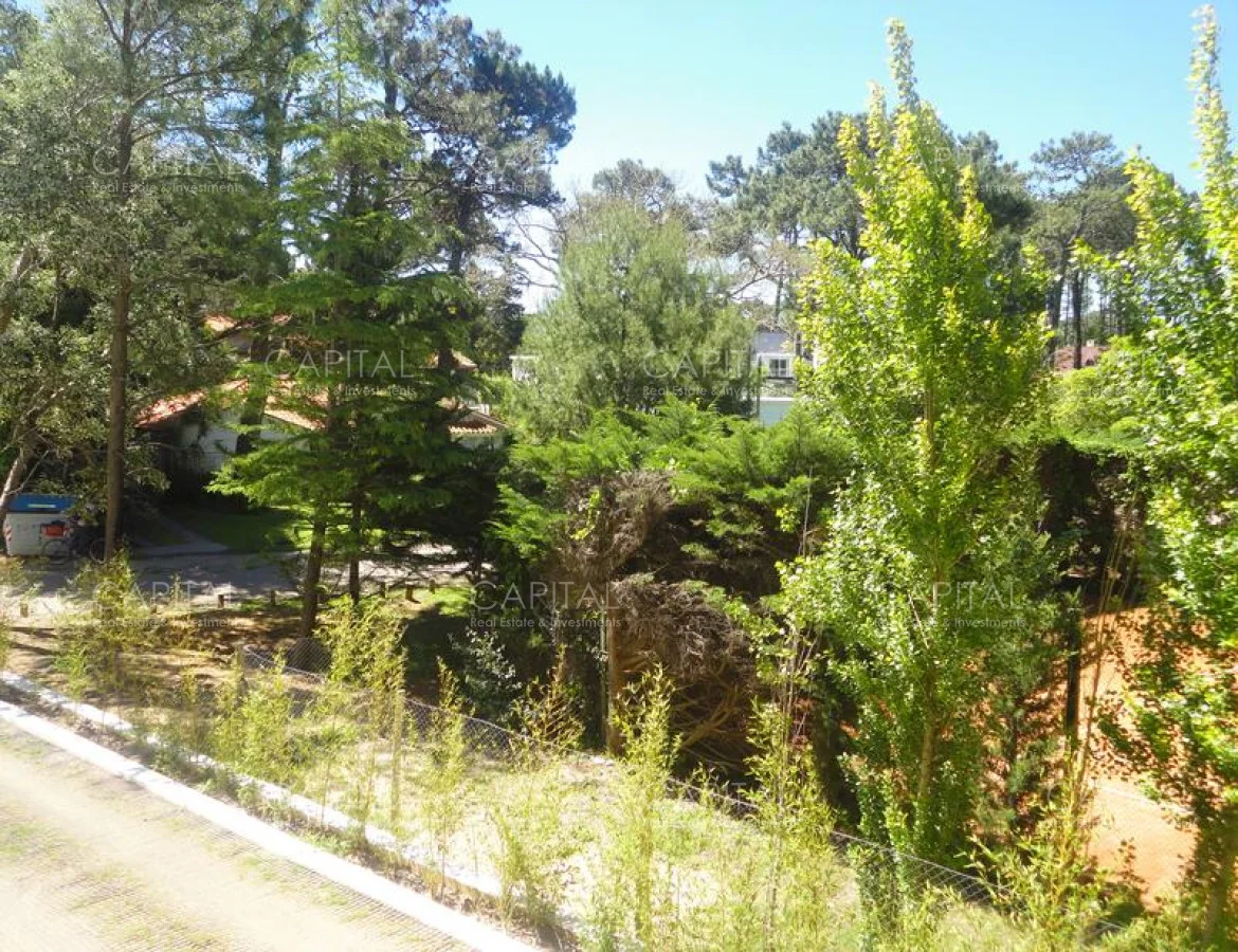 Apartamento en Roosevelt, propiedad 281979 -Imagen 15