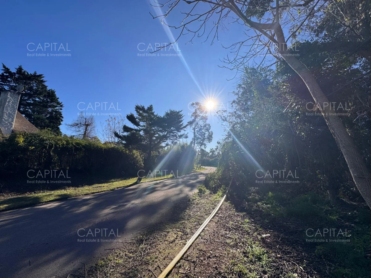 Terreno en Playa Brava, propiedad 284751 -Imagen 5