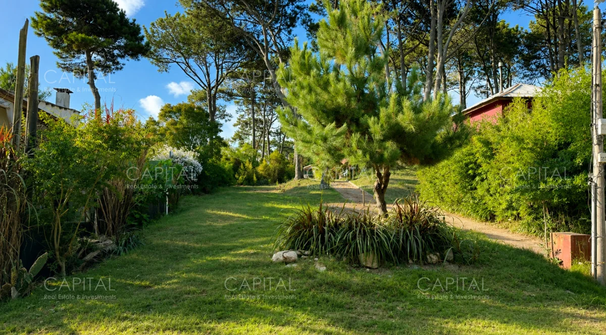 Terreno en Montoya, propiedad 285740 -Imagen 3