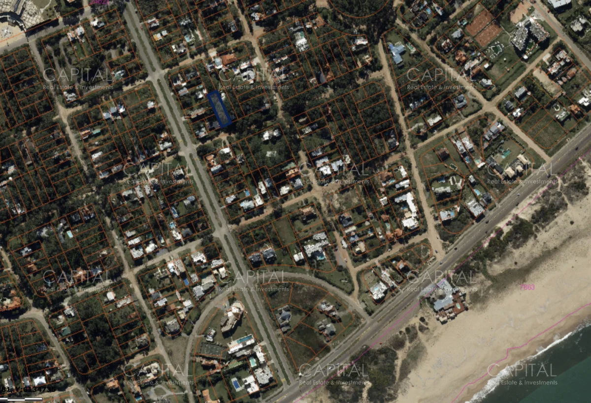 Terreno en Montoya, propiedad 285740 -Imagen 4
