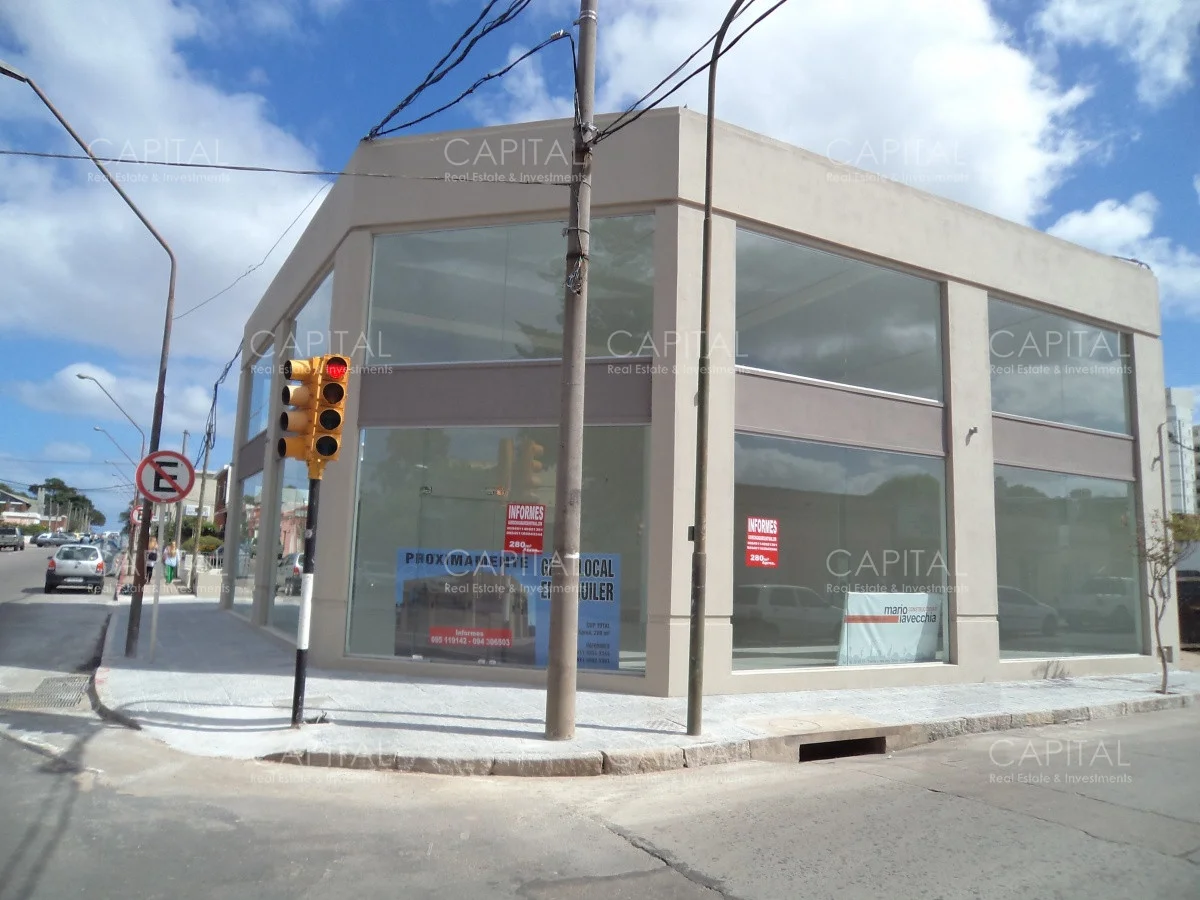 Local en Centro, propiedad 287033 -Imagen 2