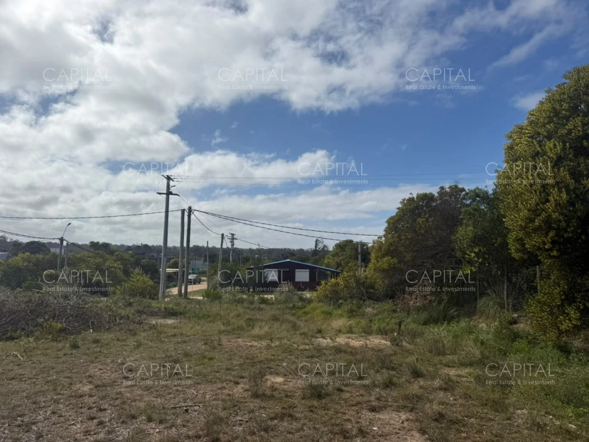 Terreno en El Chorro, propiedad 287733 -Imagen 2