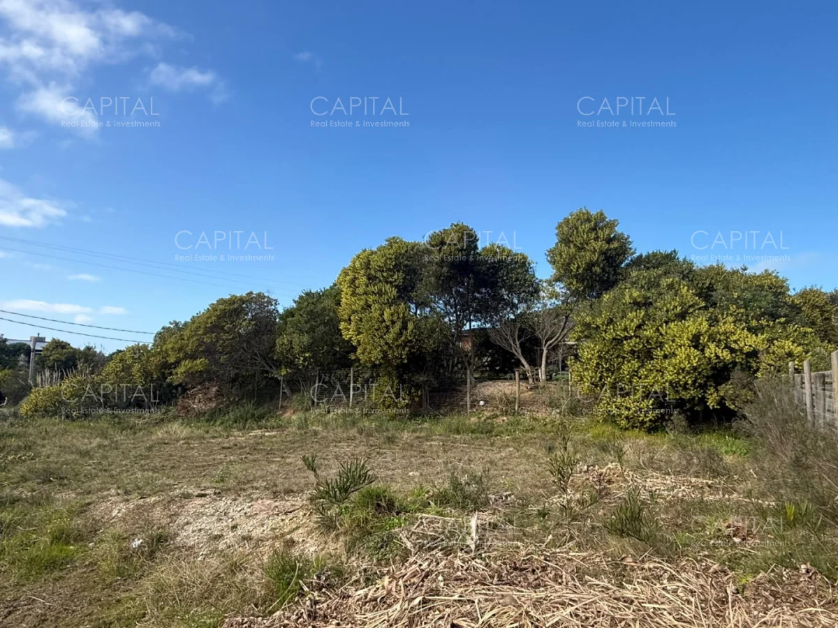 Terreno en El Chorro, propiedad 287733 -Imagen 3