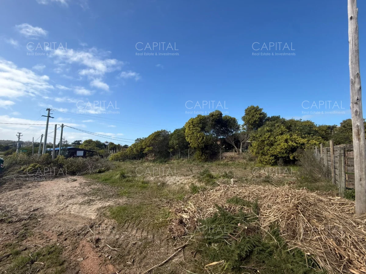 Terreno en El Chorro, propiedad 287733 -Imagen 4