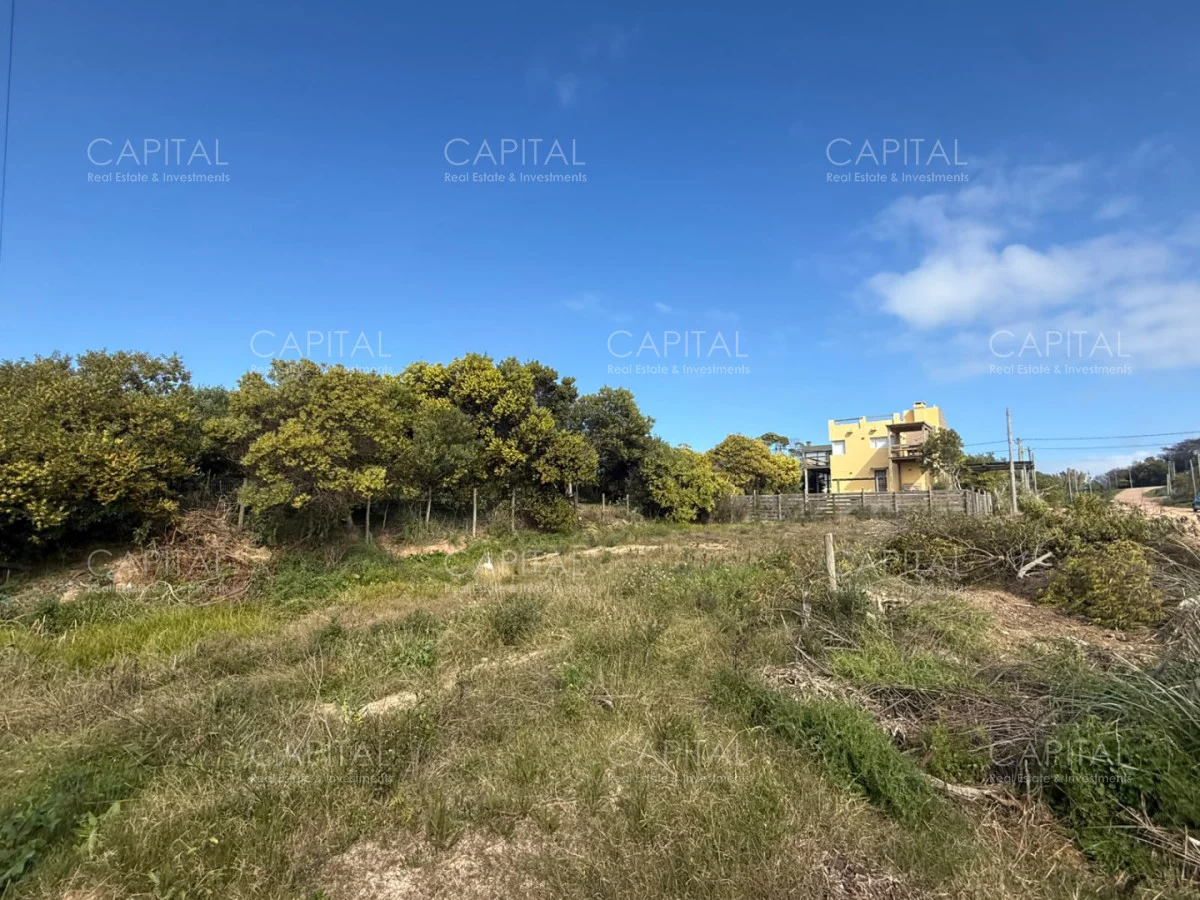 Terreno en El Chorro, propiedad 287733 -Imagen 5