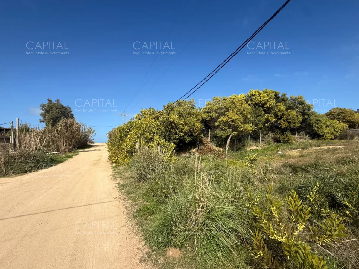 Terreno en El Chorro, propiedad 287733 -Imagen 8