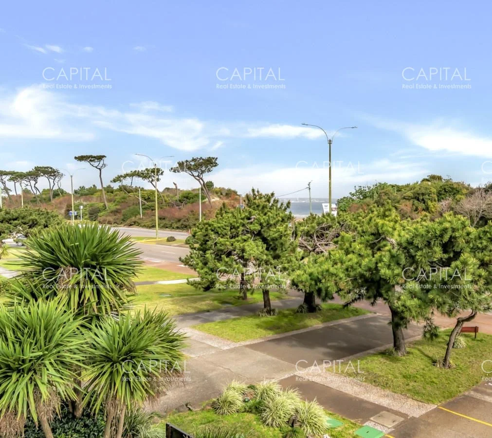 Apartamento en Playa Mansa, propiedad 288743 -Imagen 3