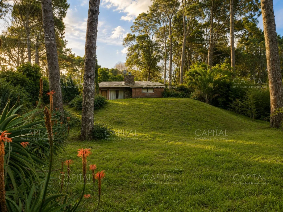 Casa en Punta Ballena, propiedad 291520 -Imagen 25