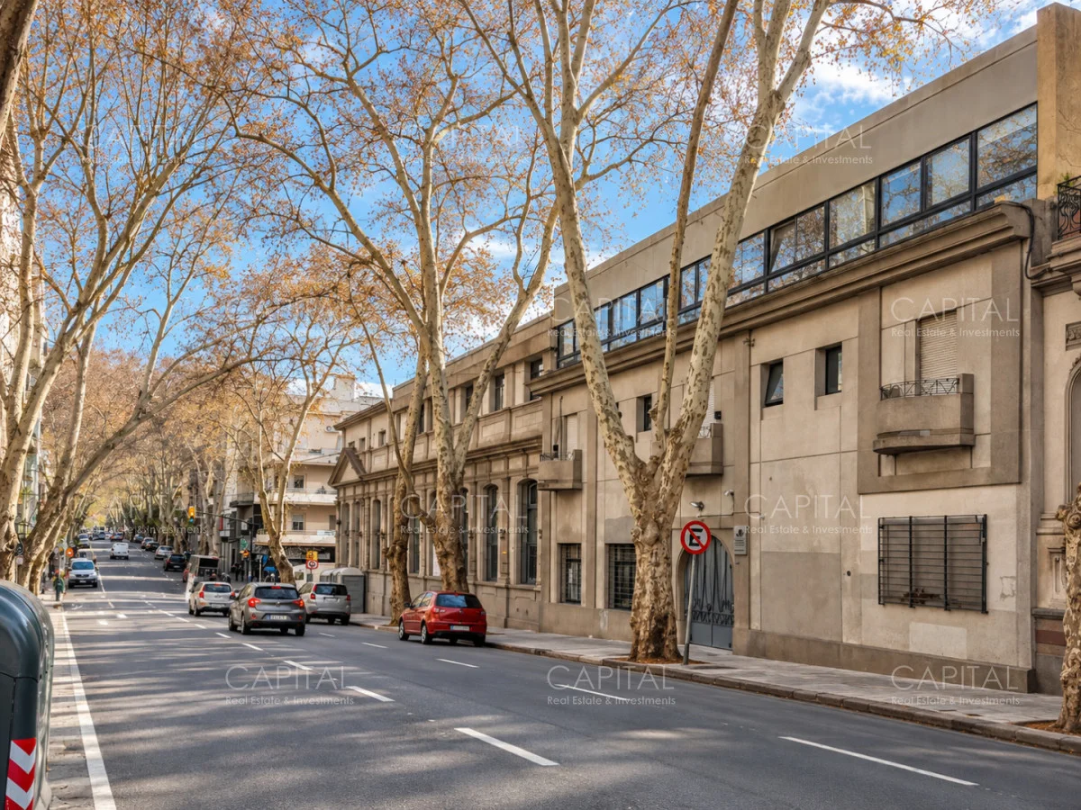 Terreno en Cordón, propiedad 293732 -Imagen 6
