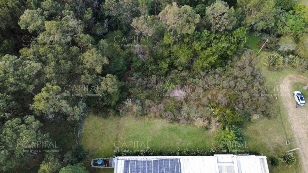 Terreno en San Vicente, propiedad 294059 -Imagen 5
