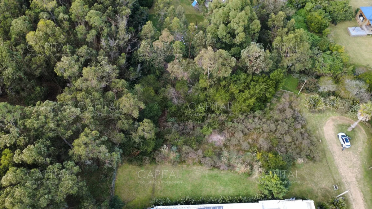 Terreno en San Vicente, propiedad 294060 -Imagen 4