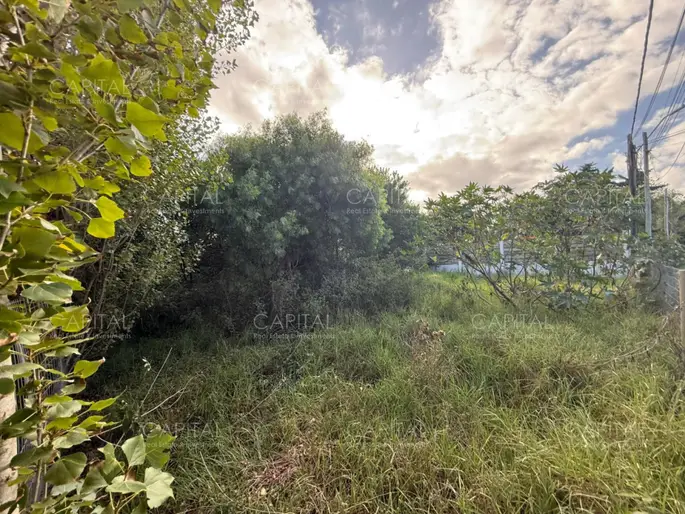 imagen  de la propiedad 278407