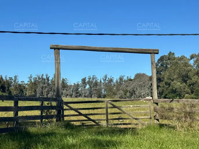 imagen  de la propiedad 278661