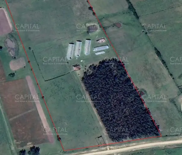 Oportunidad chacra de 10.5 has a 18km de San Carlos